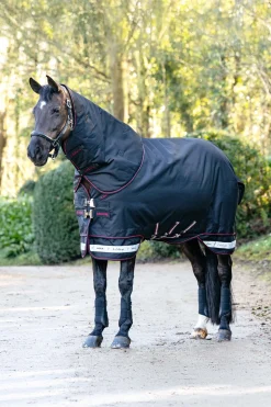 Arika Storm-Tek Weidedecke mit abnehmbarem Halsteil, 50 g