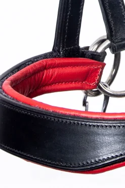 Aruba gebisslose Trense mit Zügeln (System 3)