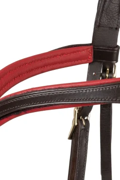 Aruba gebisslose Trense mit Zügeln (System 3)