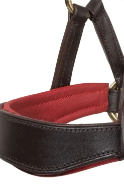 Aruba gebisslose Trense mit Zügeln (System 3)