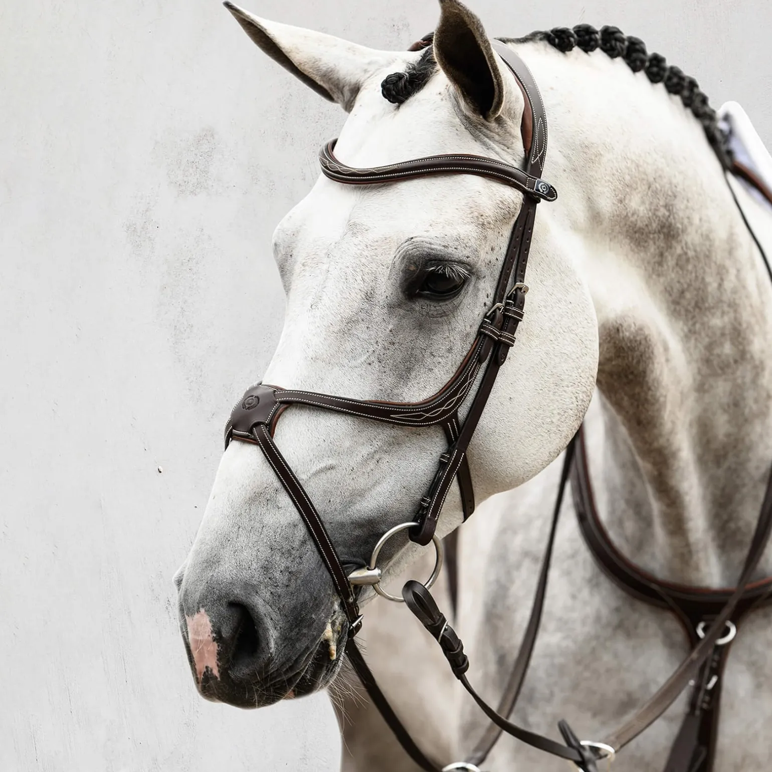 Athens Mexikanische Trense