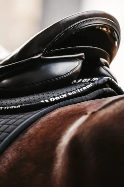 Aurora Impact Sattelpad