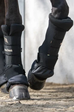 Back On Track Quick Royal Stallgamaschen