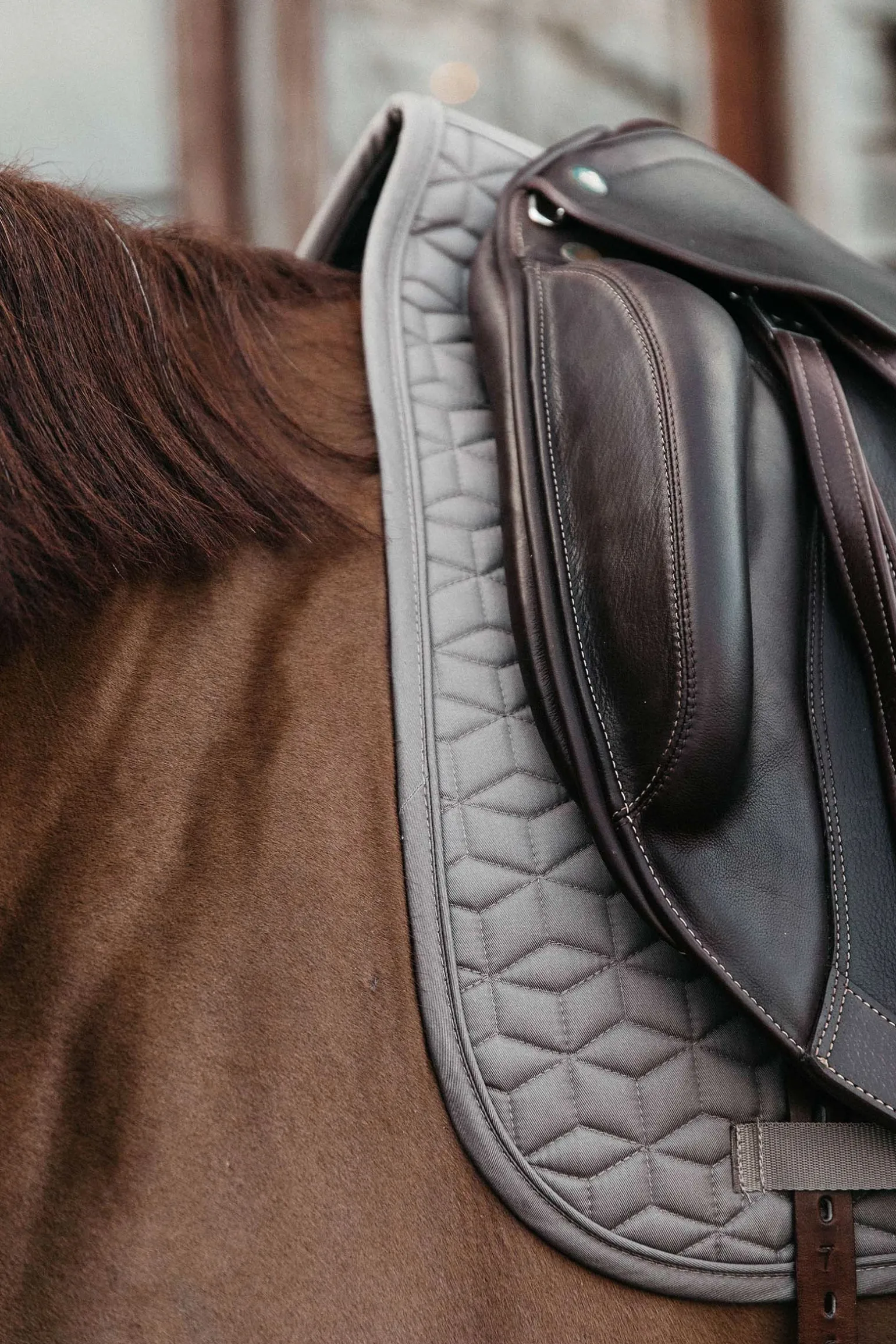 Basic Dressurschabracke