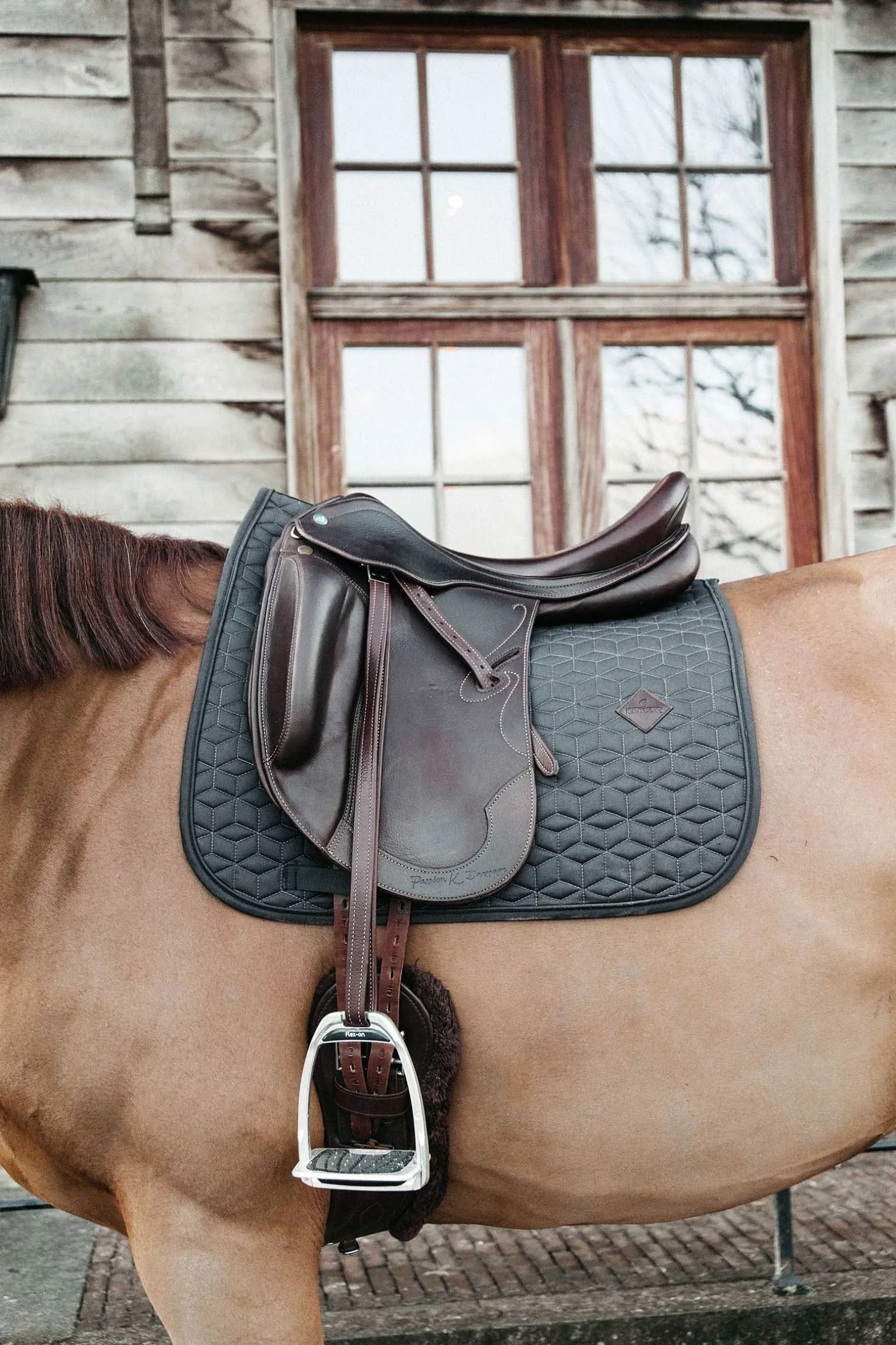 Basic Dressurschabracke