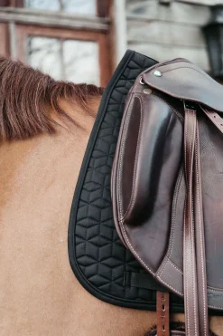 Basic Dressurschabracke