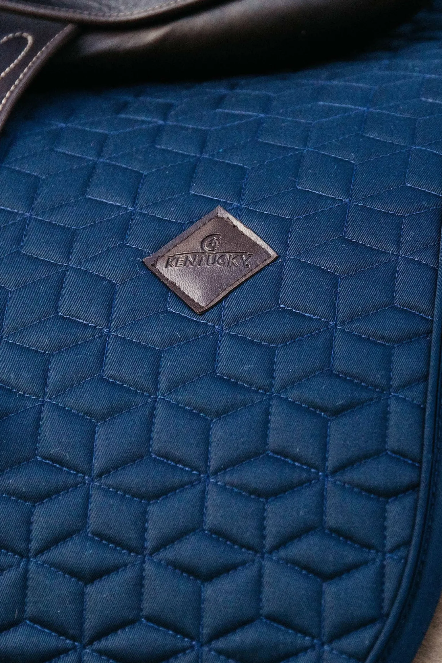 Basic Dressurschabracke