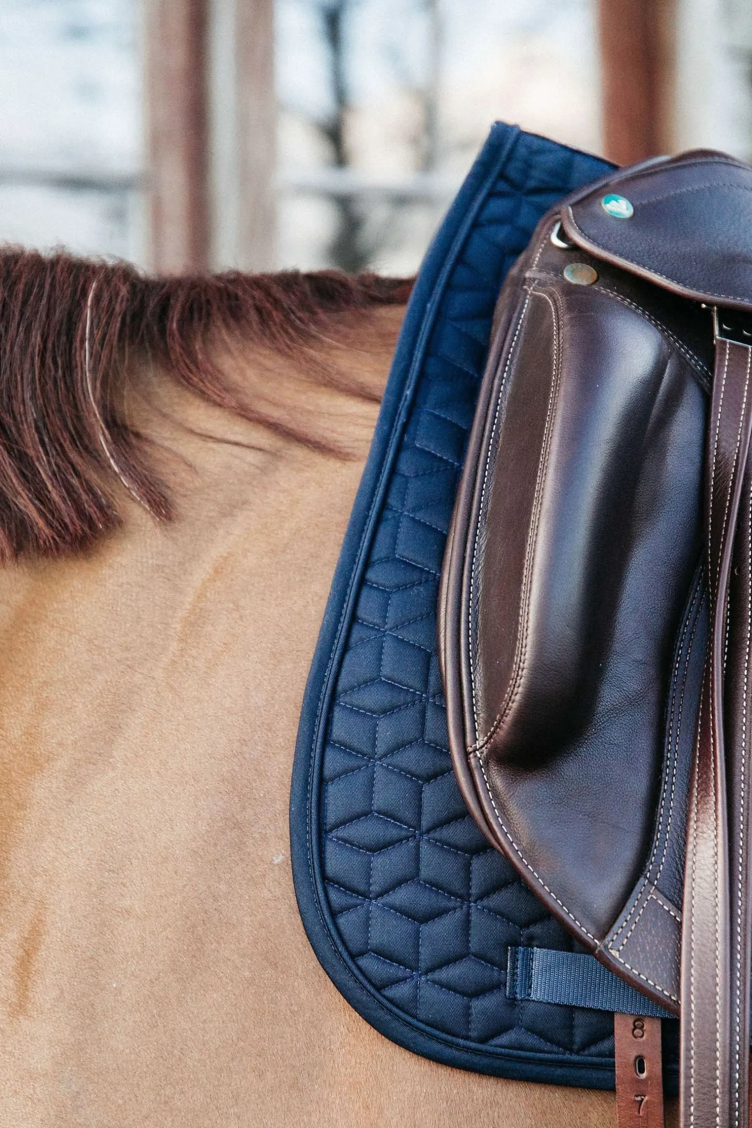 Basic Dressurschabracke