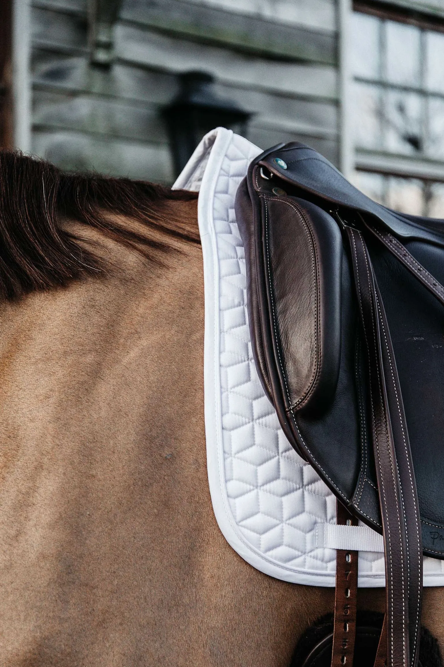 Basic Dressurschabracke