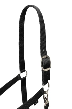 Basic Halfter & Führstrick mit Panikhaken