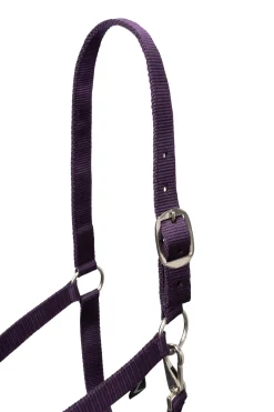 Basic Halfter & Führstrick mit Panikhaken