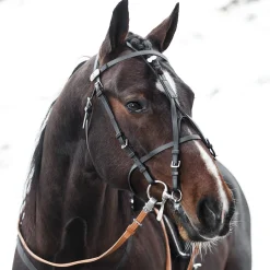 Beta Scheck Pro (11650)