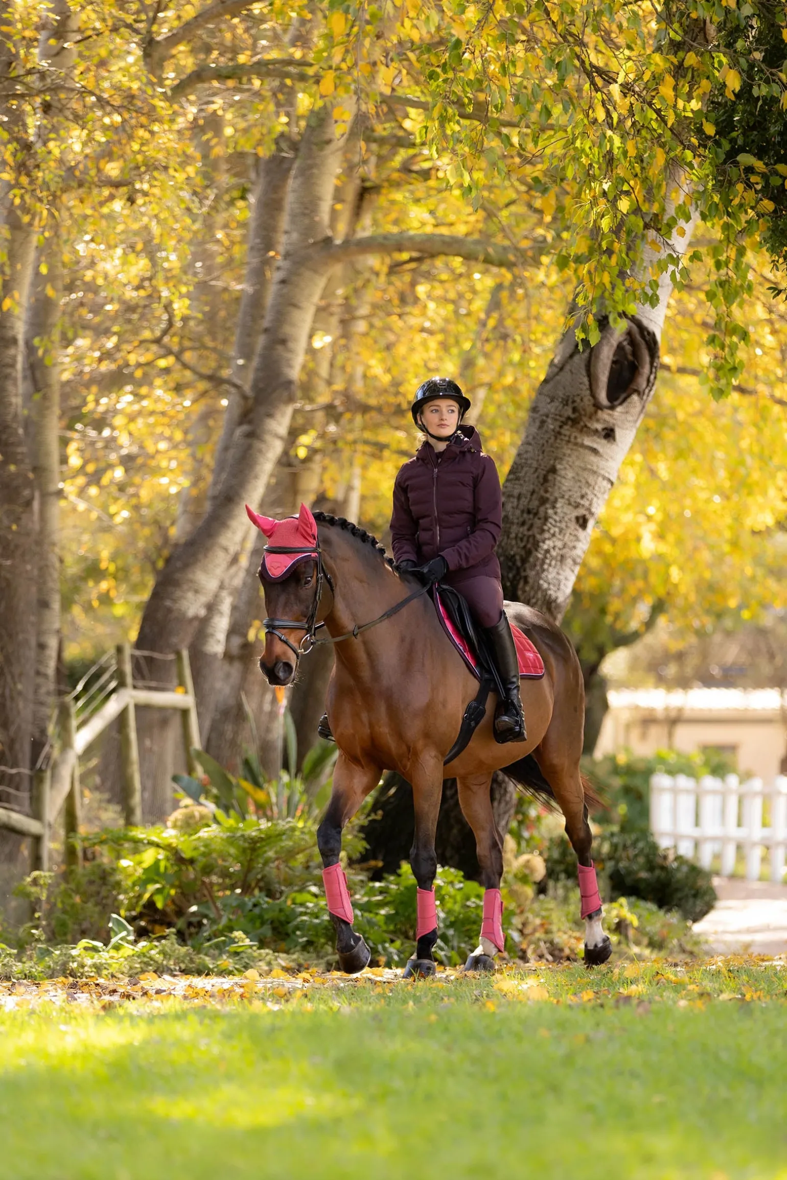 Brooke wasserdichte Damen-Hybridjacke