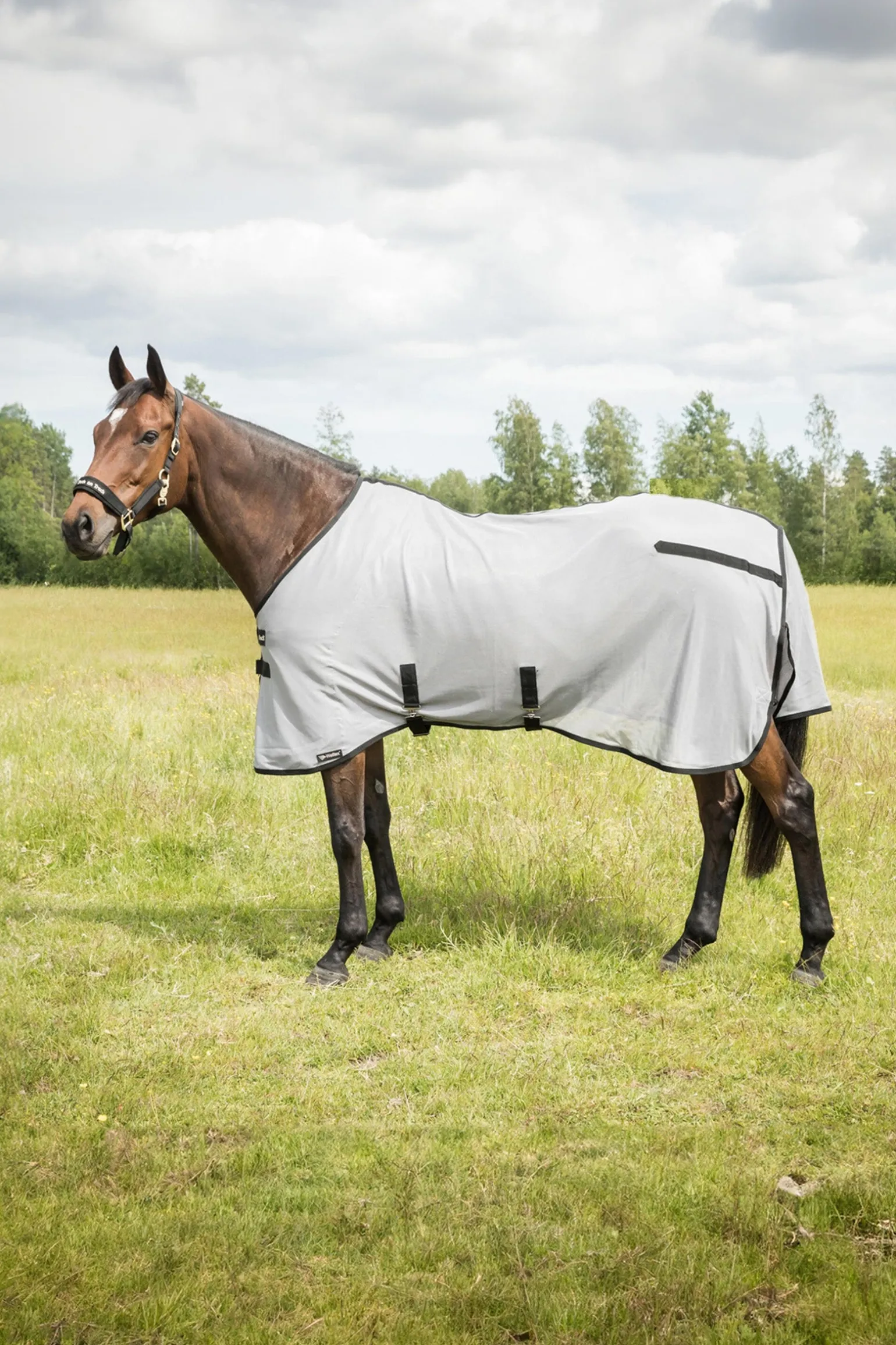 Butzer Fliegendecke ohne Halsteil