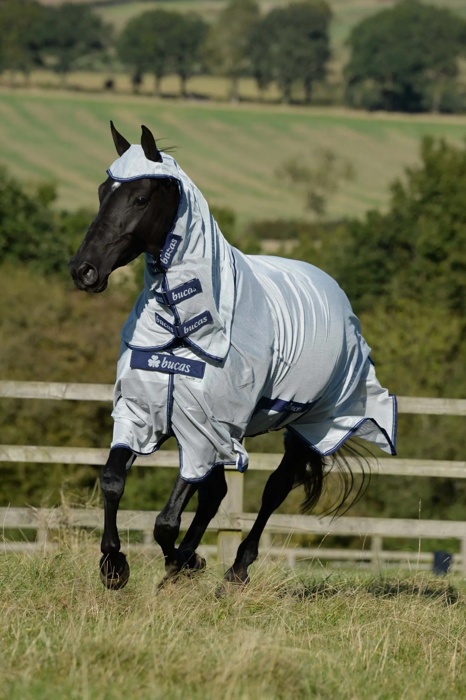 Buzz-Off X Big Neck Fliegendecke mit festem Halsteil