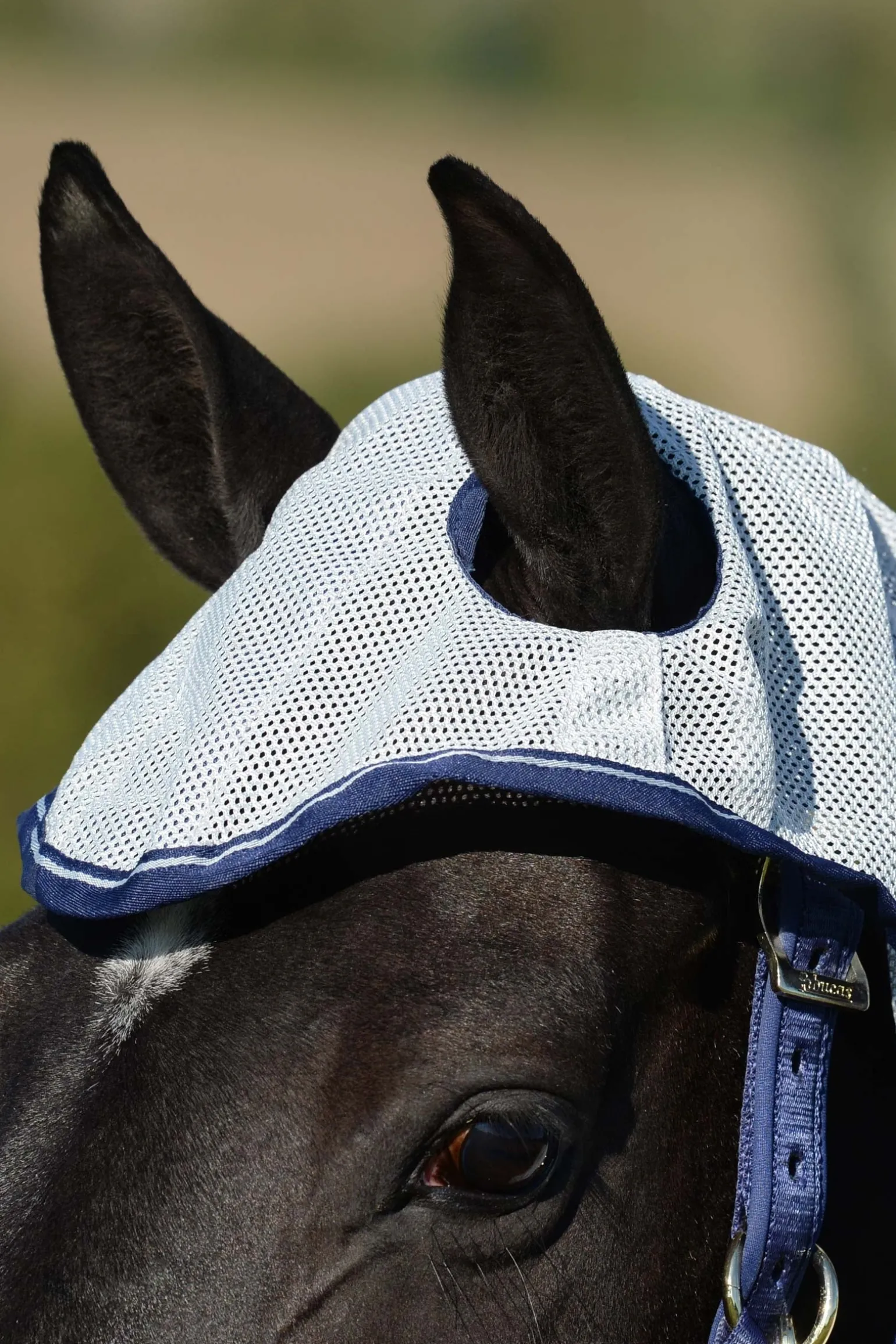 Buzz-Off X-light Full Neck Fliegendecke mit festem Halsteil