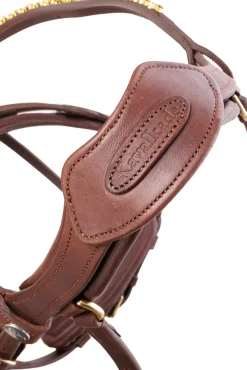 Caliano Englische Trense