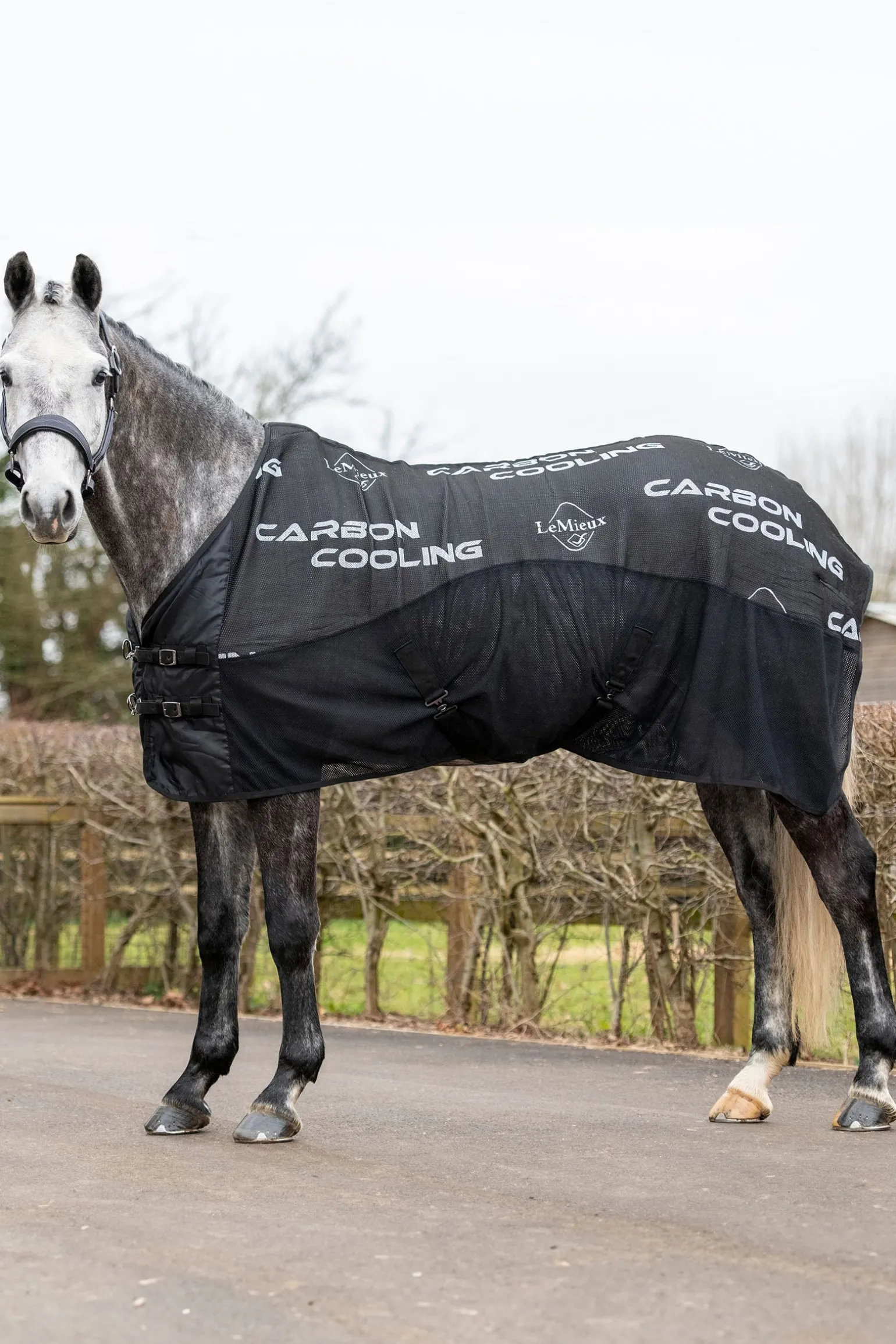 Carbon Abschwitzdecke