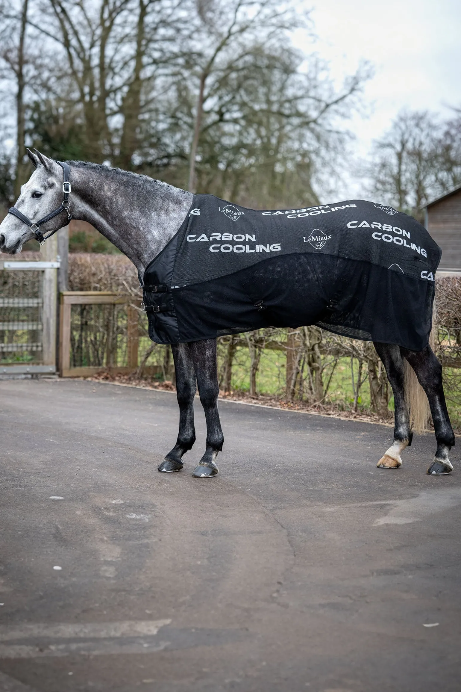 Carbon Abschwitzdecke