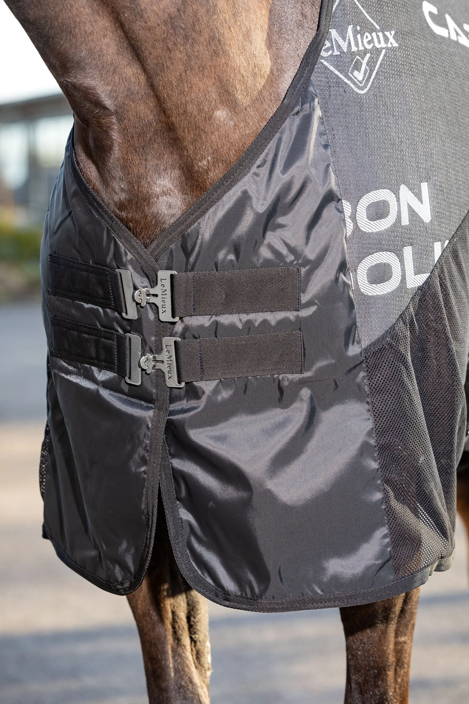 Carbon Abschwitzdecke