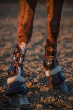 Carbon Gel Absolute Gamaschen