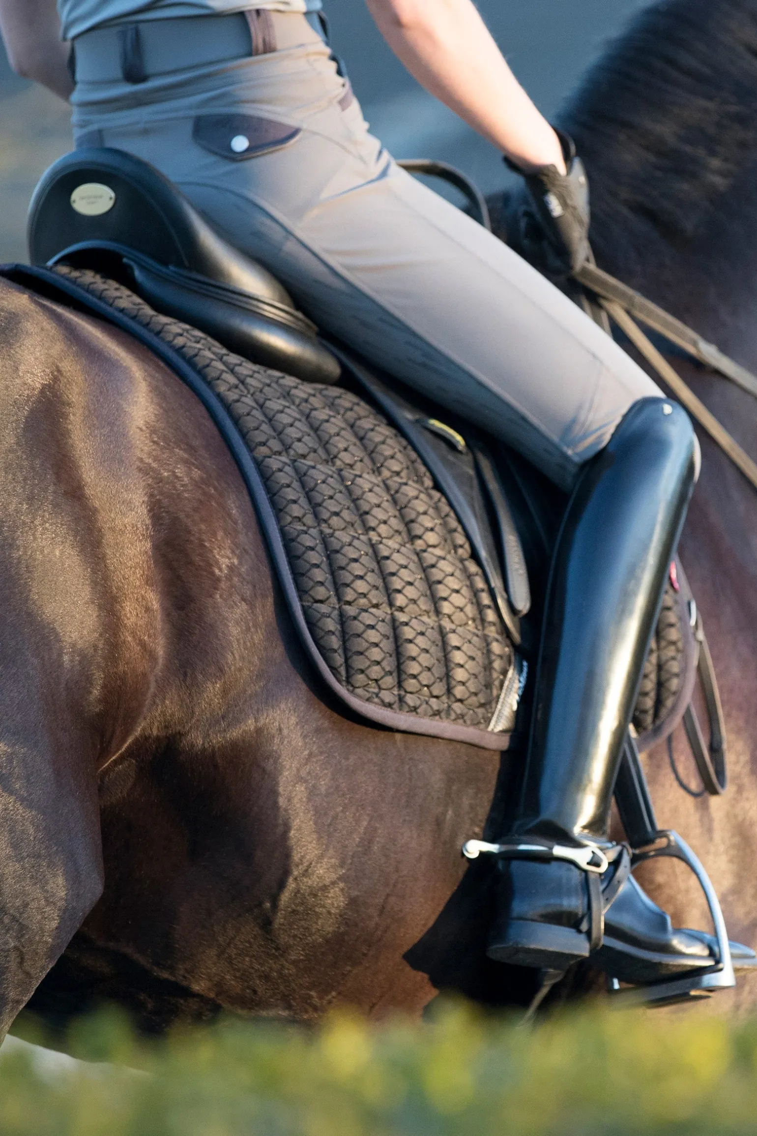 Carbon Mesh Air Square Dressurschabracke