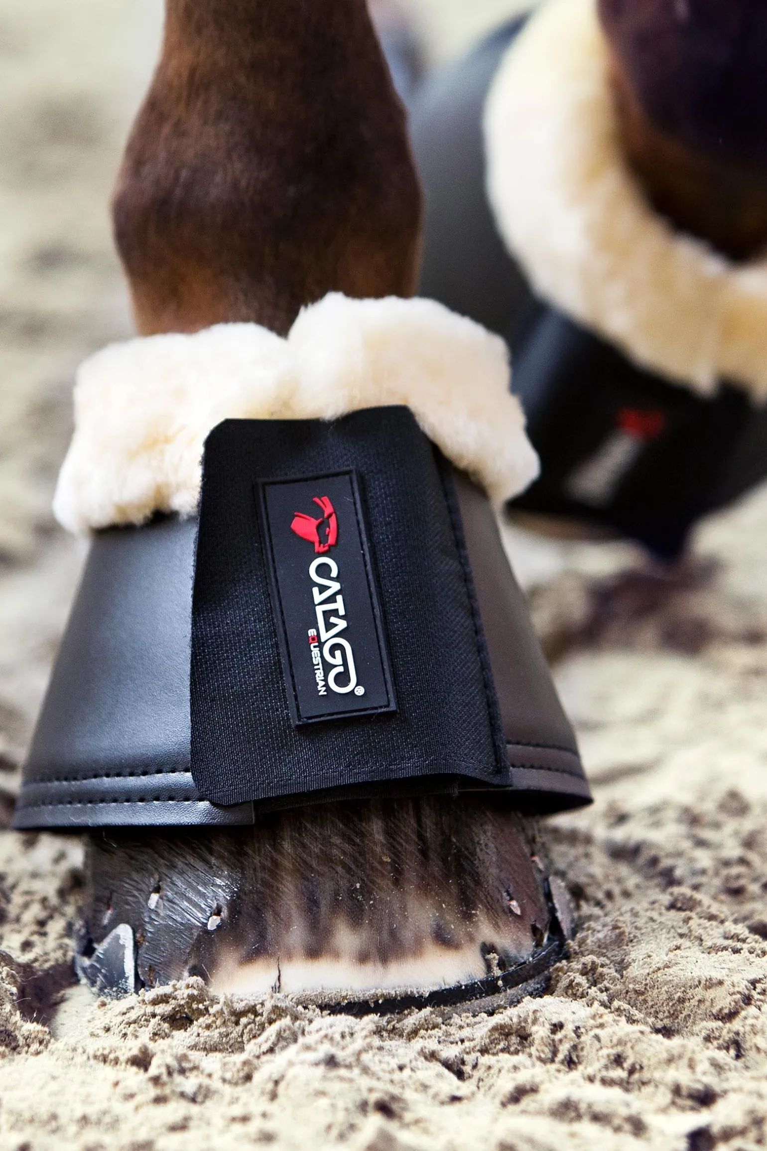 CATAGO Hufglocken mit Merino