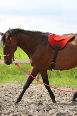 Chico Reitschabracken und Reitdecken, Nubuck Leather