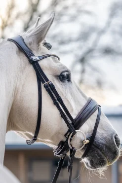 Classic Dressurtrense