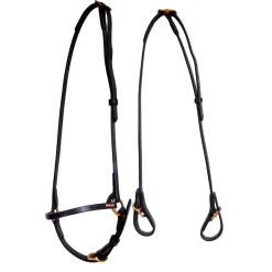 Classic Islandtrense