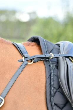 Classic 3-Punkt Vorderzeug mit laufendem Martingal