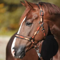 Classic Raute Halfter