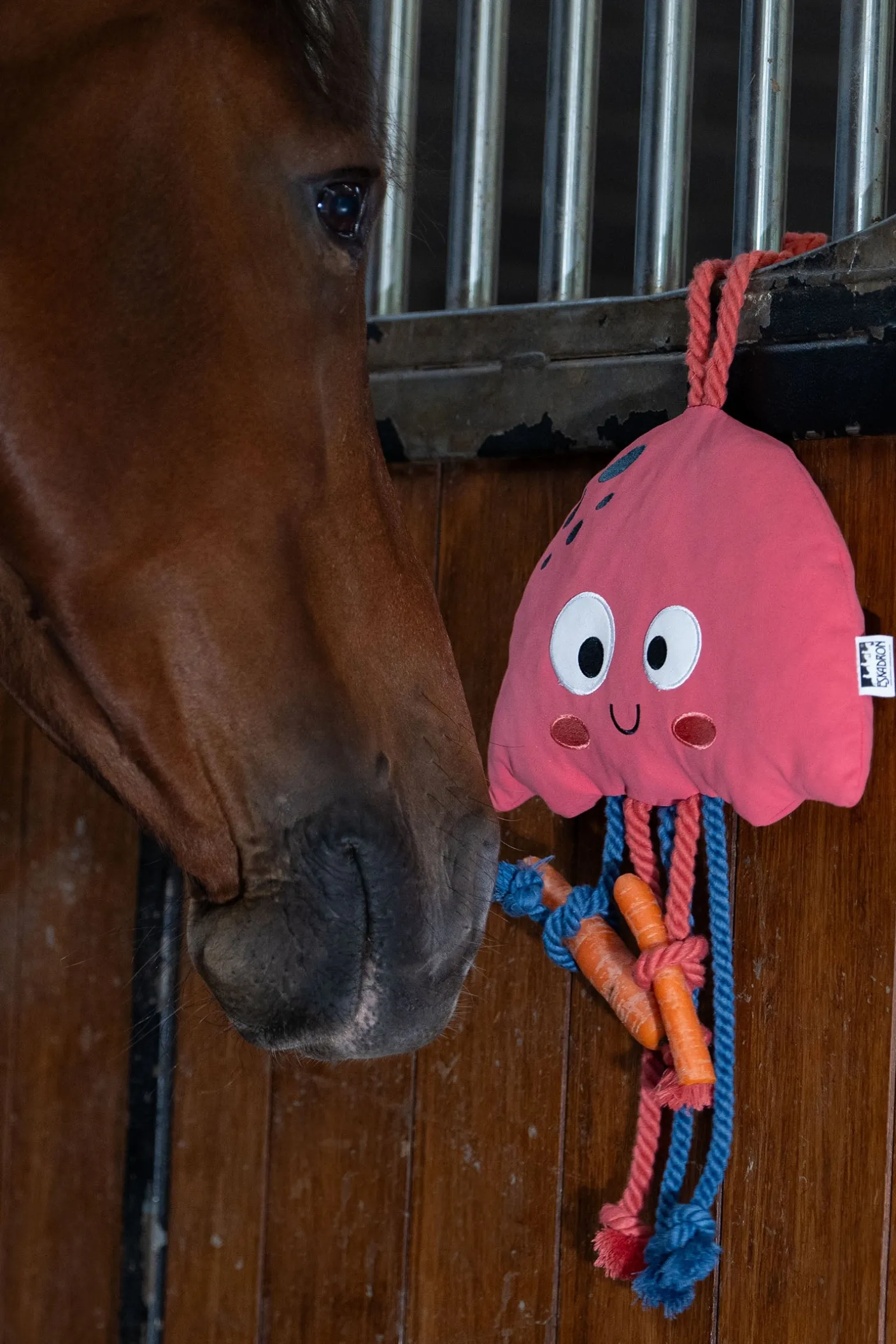 Classic Sports SS25 Jellyfish Pferdespielzeug