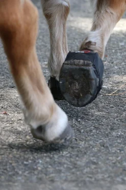 CLB Hufschuhe (regulär/Paar)