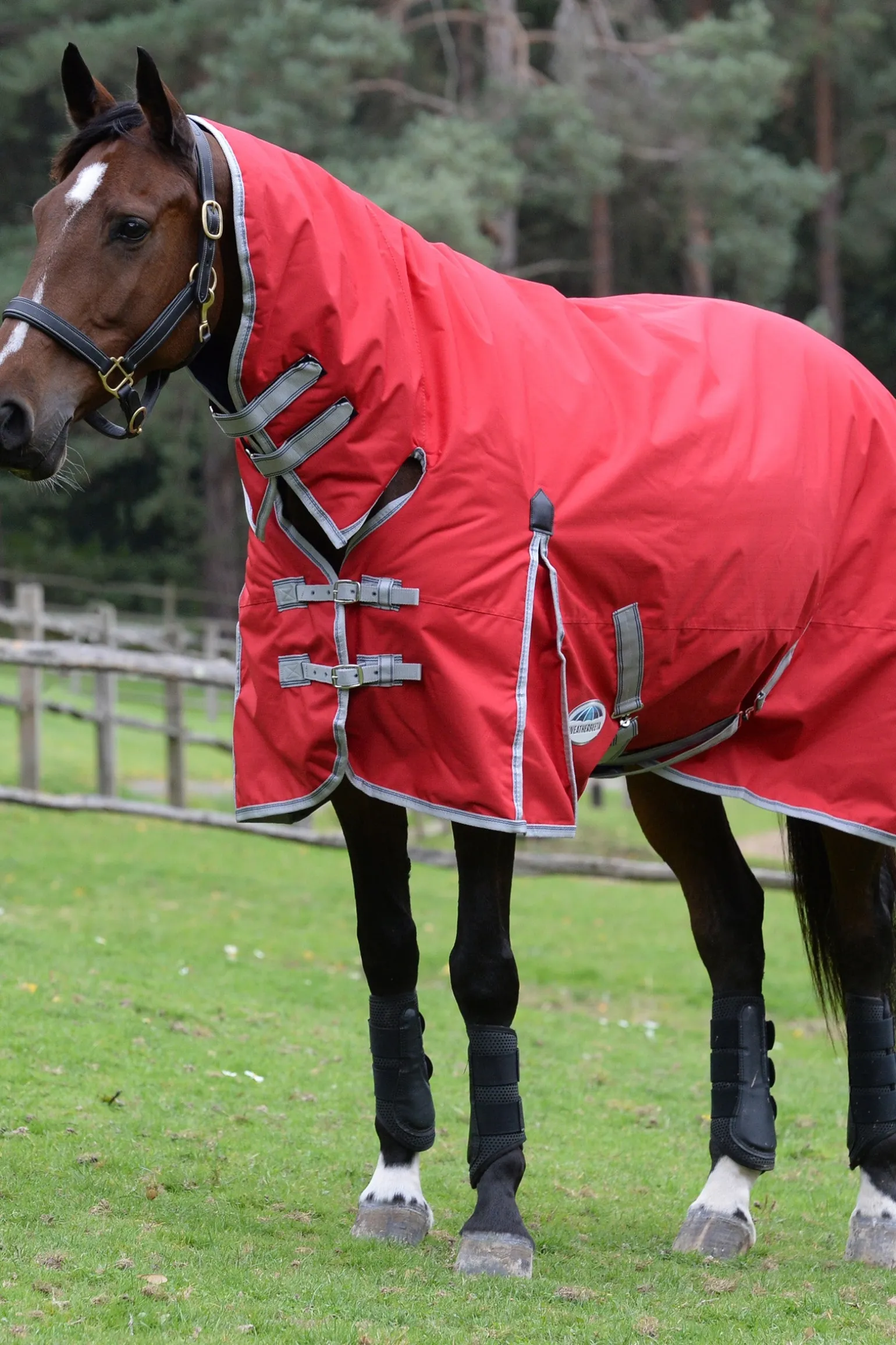 Comfitec Classic Weidedecke mit integriertem Halsteil, 50g