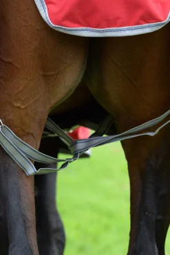 Comfitec Classic Weidedecke mit integriertem Halsteil, 50g