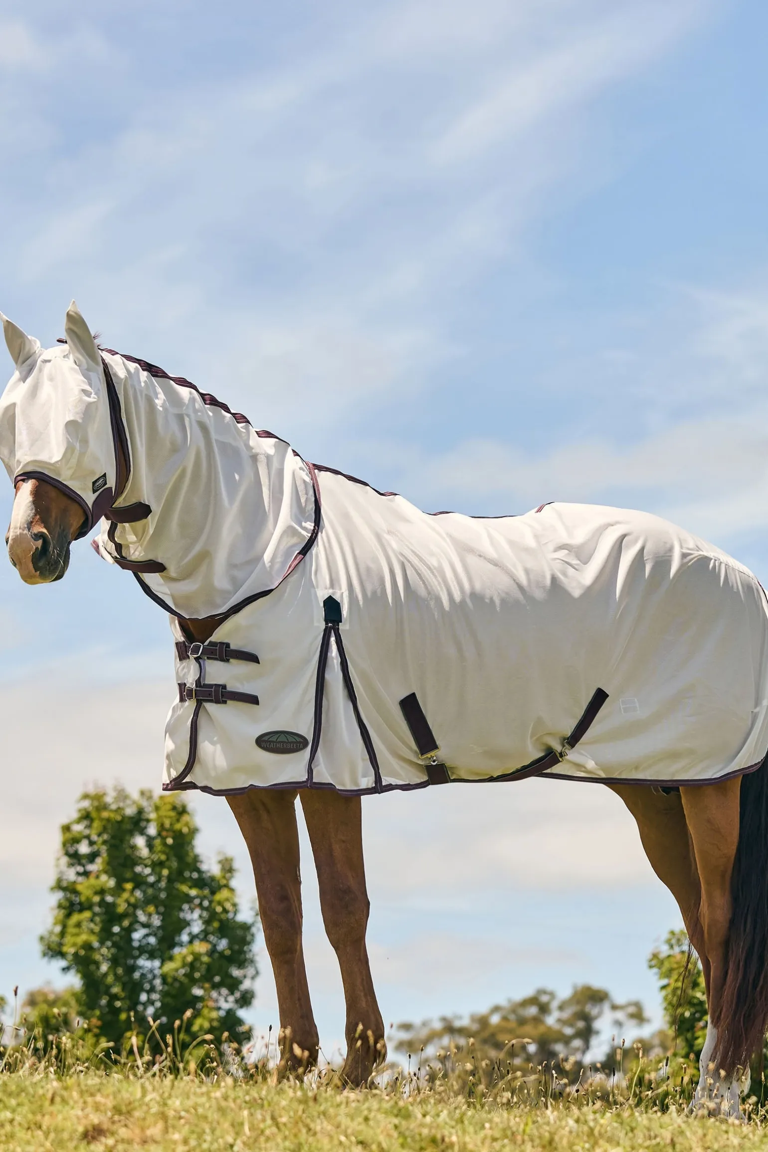 Comfitec Essential Mesh Maske