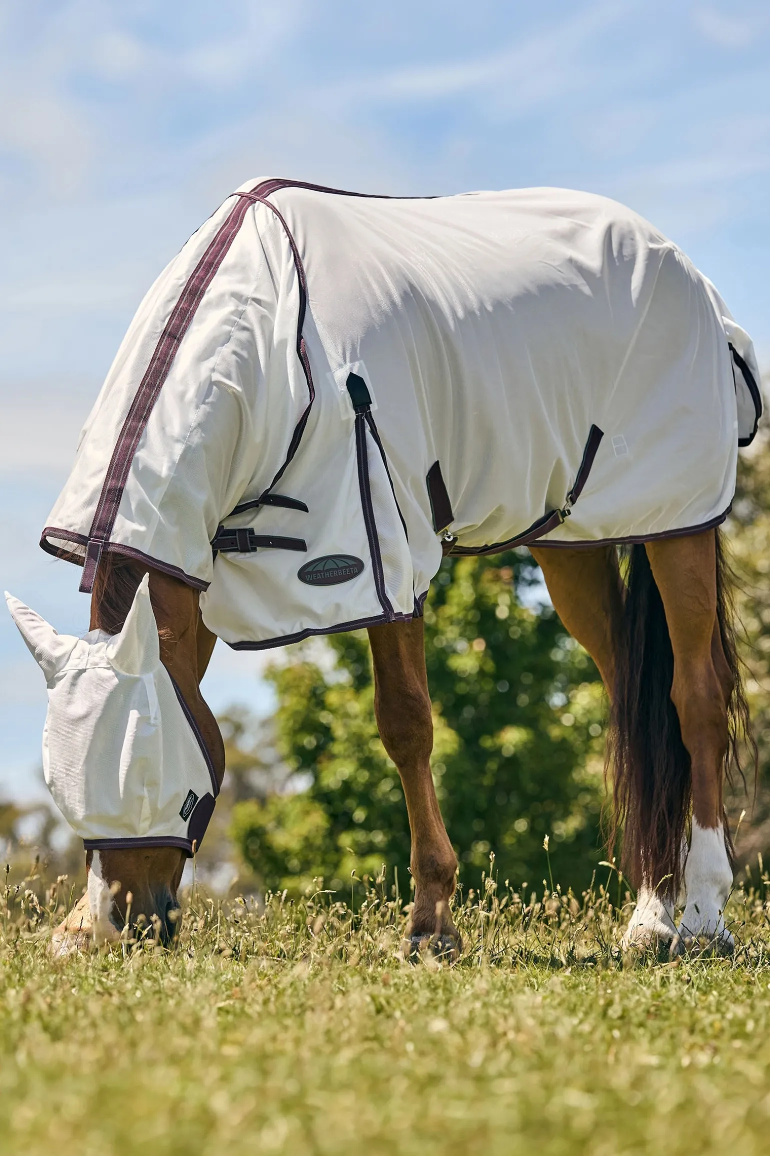 Comfitec Essential Mesh Maske
