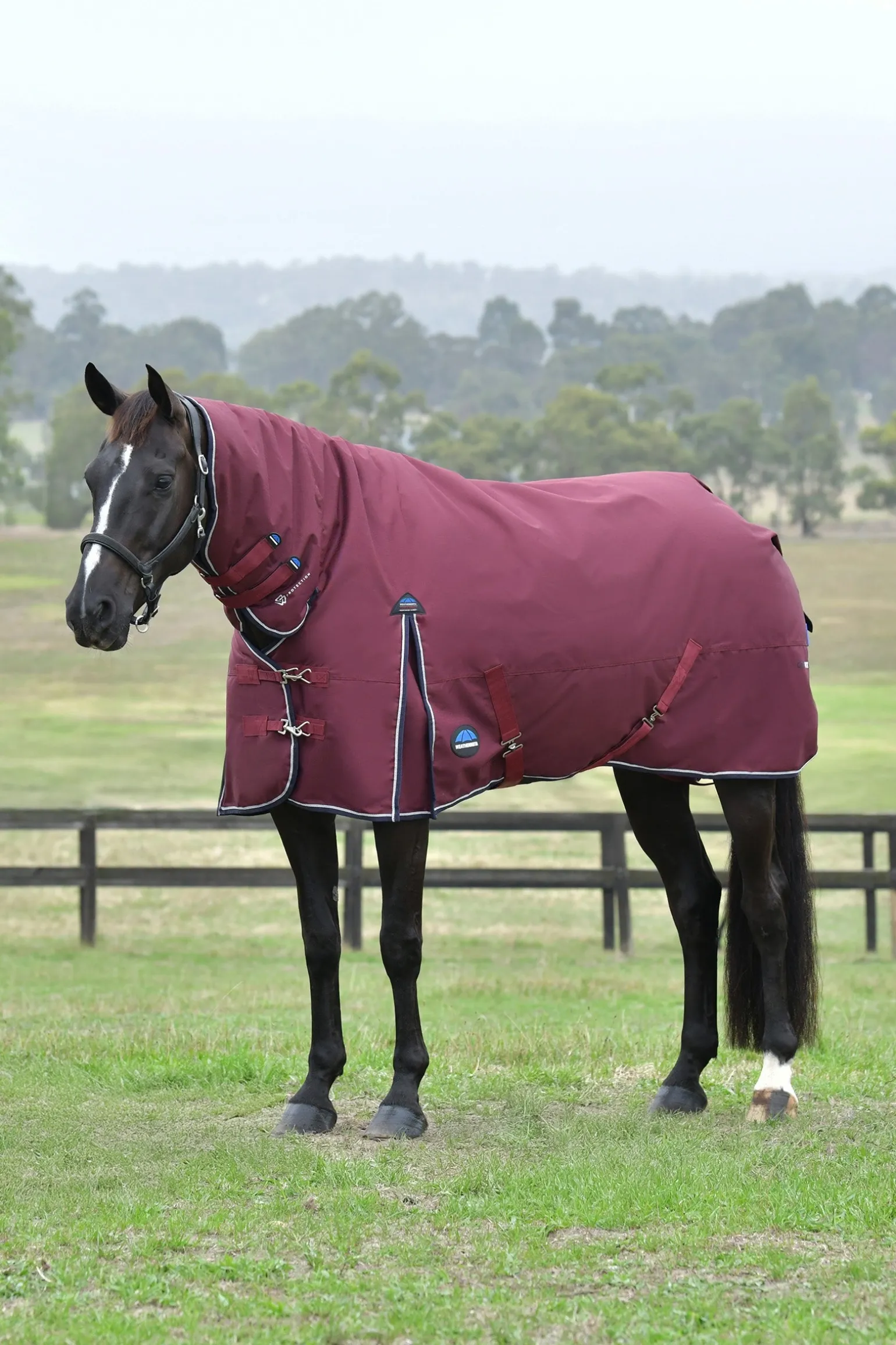 Comfitec Essential Weidedecke mit festem Halsteil, 220g