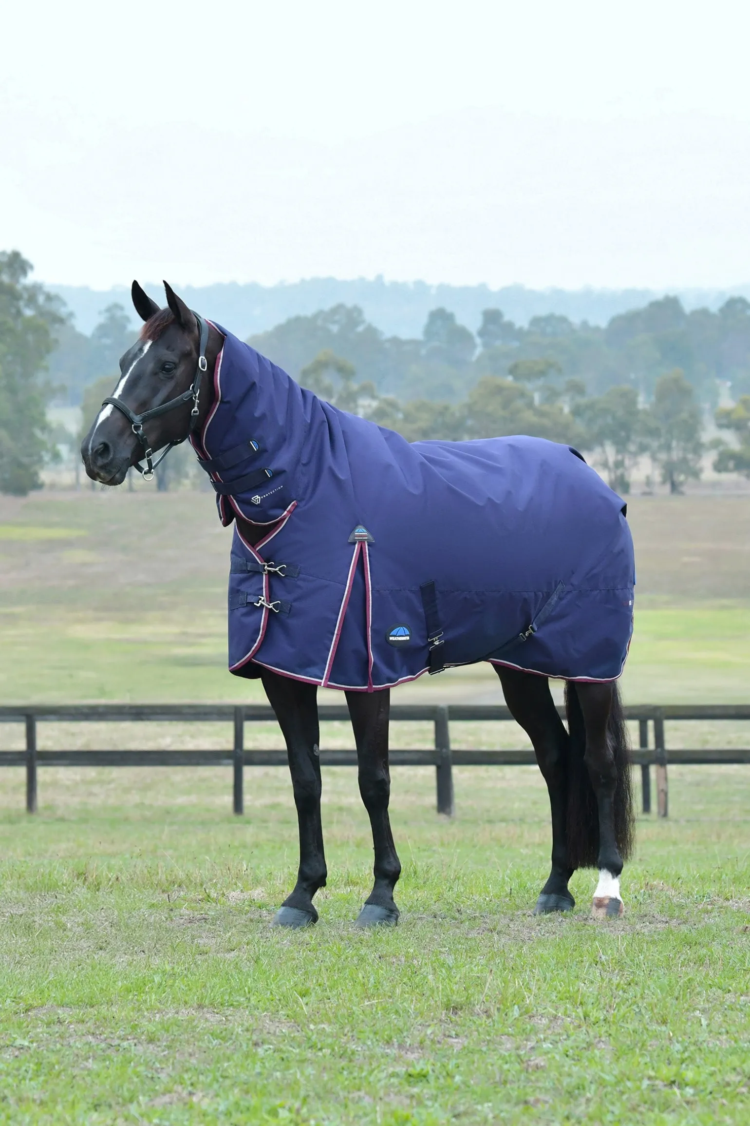 Comfitec Essential Weidedecke mit festem Halsteil, 220g