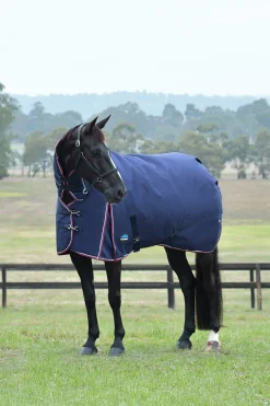 Comfitec Essential Weidedecke mit festem Halsteil, 220g