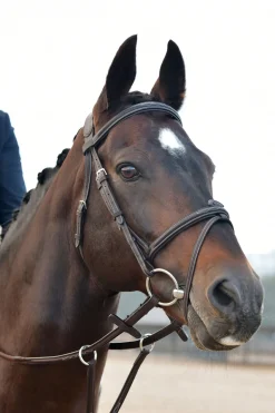 Comfitec Opulux Fancy Stitch gepolsterte hannoversche Trense