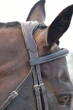 Comfitec Opulux Fancy Stitch gepolsterte hannoversche Trense