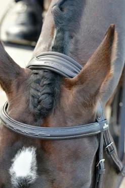 Comfitec Opulux Fancy Stitch gepolsterte hannoversche Trense