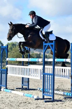 Comfitec Opulux Fancy Stitch gepolsterte hannoversche Trense