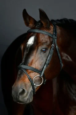 Comfitec Opulux Fancy Stitch gepolsterte hannoversche Trense