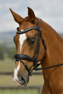 Comfitec Opulux gepolsterte Dressurtrense