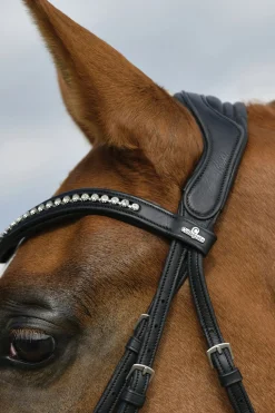 Comfitec Opulux gepolsterte Dressurtrense