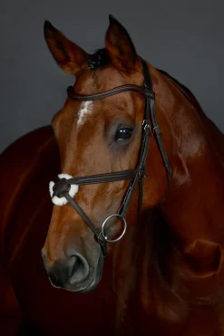 Comfitec Opulux schlichte gepolsterte Trense mit mexikanischem Reithalfter