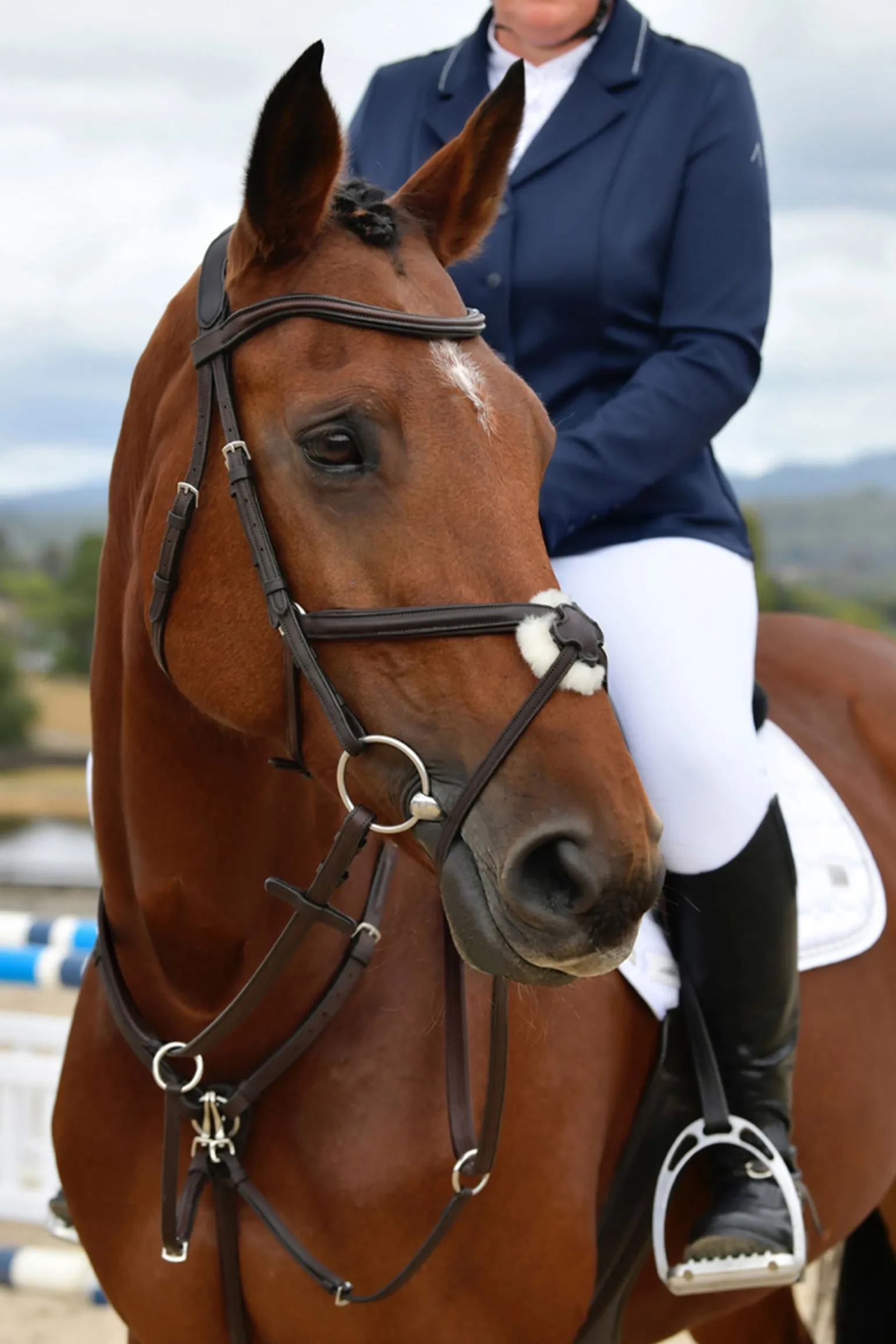 Comfitec Opulux schlichte gepolsterte Trense mit mexikanischem Reithalfter